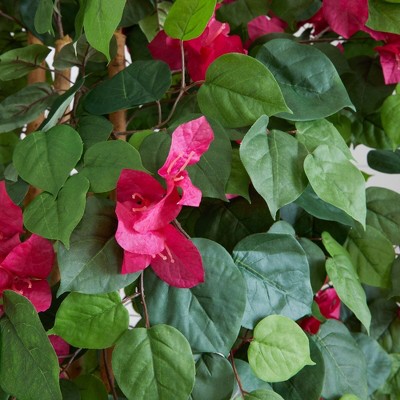 Twisting Vine Bougainvillea Silk Floor Plant in Pot - 6ft