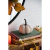 Gulches Series Multicolored Shatterproof Grid Pumpkin Harvest Festival Ornament - 4 of 4