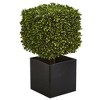 Nearly Natural 27-in Boxwood Artificial Plant in Black Planter (Indoor/Outdoor) - 2 of 3