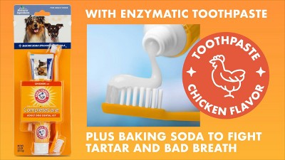 Complete Care Chicken Flavor Cat Dental Kit with Toothbrush