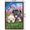 Trends International Keith Kimberlin - Bulldog Puppies Framed Wall Poster Prints - 3 of 4