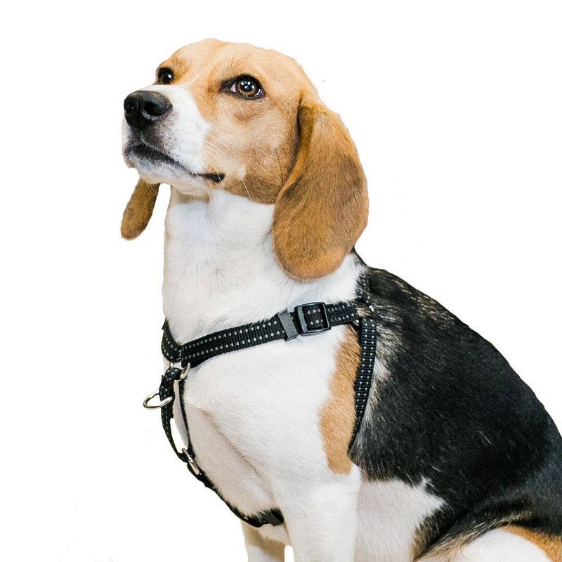 Premier Pet Step-In Adjustable Dog Harness - Black, 1 of 8