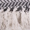 50"x60" Herringbone Chevron Throw Blanket - Design Imports - 3 of 4