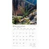 BrownTrout Texas Wild and Scenic 2026 12"x24" Hanging Square Wall Calendar Plastic-Free - 4 of 4