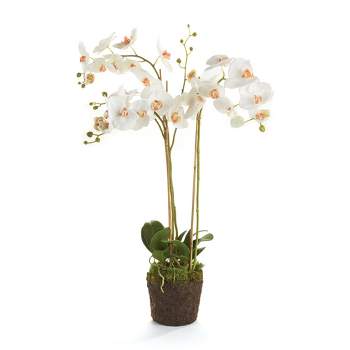 Plum & Post Phalaenopsis Orchid Faux (Fake) Drop-In 31"