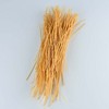 Liviva Organic Soybean Pasta,  Spaghetti, 7.05 OZ - 4 of 4