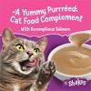 Friskies Lil' Shakes Salmon Wet Cat Food - 1.55oz - 2 of 4