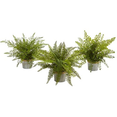 14" x 13" 3pc Artificial Ferns with Planter Set - Nearly Natural