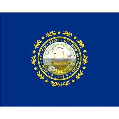 New Hampshire State Flag - 4' x 6'