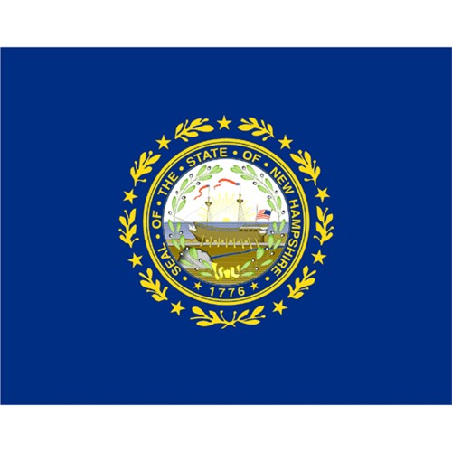 Halloween New Hampshire State Flag - 3' x 5'