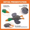 Allforpaws Squeaky Latex Dog Toys Filled with Crepe Paper Plush Wings, Soft Wing Mallard, 11.22", Gray - 3 of 4