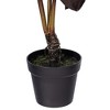 Vickerman Artificial Alocasia Potted Plant - 3 of 4