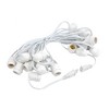 Novelty Lights Edison Outdoor String Lights with 25 In-Line Sockets White Wire 37.5 Feet - 3 of 4