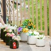 KTMBDW Plant Pots, Ceramic Planters with Drainage Holes,Nursery Planting Pot for Indoor Out Door Plants - 2 of 4