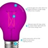 Luxrite A19 LED Purple Edison Light Bulb, 4.5W=60W Equivalent, Clear Glass Filament, UL Listed, Indoor Outdoor, Porch, E26 Standard Base - 4 of 4