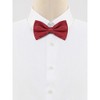 Allegra K Men's Halloween Polka Dots Pre-Tied Work Formal Party Tuxedo Bowknot Bow Ties - 2 of 4