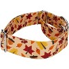 Country Brook Petz 1 1/2 Inch Martingale Dog Collar - Awesome Autumn Collection - 3 of 4
