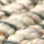 sage, sandstone, charcoal, olive, rust, ivory