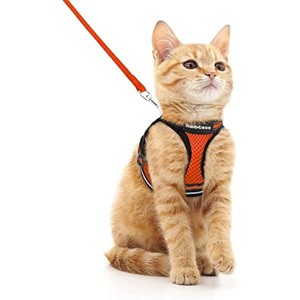 rabbitgoo Cat Harness and Leash Set for Walking Escape Proof, Kittens Vest with Reflective Strip for Cats, Comfortable Outdoor Vest, Orange, M - 1 of 1