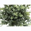 Cesicia 11" Tall Artificial Eucalyptus Plant in Pot, Set Of 2 - 3 of 4