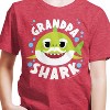 Boys' - Baby Shark - Grandpa Shark Short Sleeve Graphic T-Shirt - 2 of 4