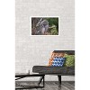 Trends International The Comedy Wildlife Photography Awards: John Blumenkamp - Monday Blahs Framed Wall Poster Prints - 2 of 4