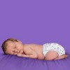 Luvs Pro Level Leak Protection Diapers - (Select Size and Count) - image 2 of 4