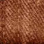 washed orange