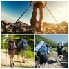 Unique Bargains Hiking Trekking Pole Accessories Replacement Mountain Baskets 1.48 Inch 4 Pcs - 4 of 4
