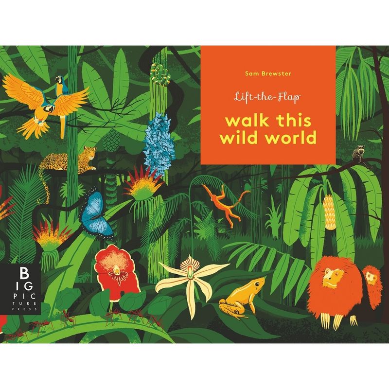 Walk This Wild World - by  Kate Baker (Hardcover), 1 of 2