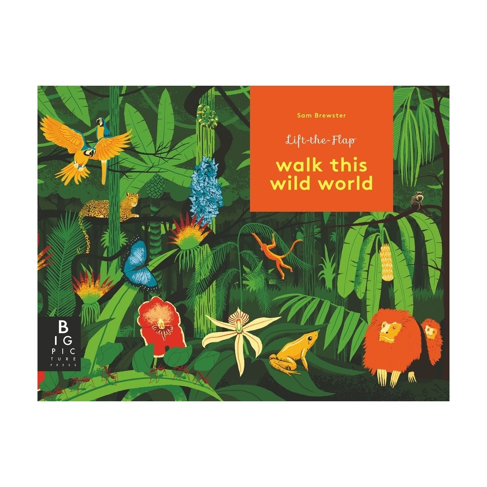 Walk This Wild World - by Kate Baker (Hardcover)