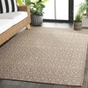 Sisal Performance SPF100 Power Loomed UV Resistant,Stain Resistant, Non-Shedding Indoor/Outdoor Rugs - Safavieh - 3 of 4