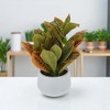 Unique Bargains Artificial Plants Croton Plant in Small Pot Plastic Green 4.33"x4.33"x9.06" 1 Pc - 2 of 4