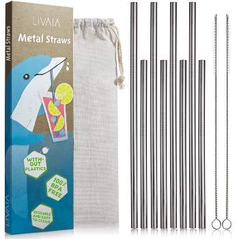 8Pcs Stanley Straws Replacement, 2 Cleaning Brushes, Reusable