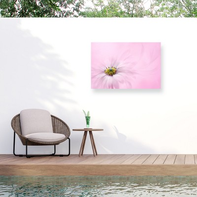 Trademark Fine Art - Jacky Parker Softness Matted Framed Art