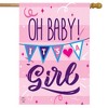 Baby Girl Double-Sided House Flag 28" x 40" Briarwood Lane - 2 of 4