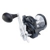 SHIMANO Torium 20PGA Star Drag - 2 of 4