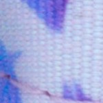 watercolor butterflies