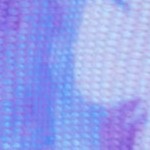 watercolor butterflies