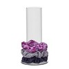 scünci Hair Accessories Scrunchies and Hair Ties Organizer with 3 Bonus Scrunchies - Clear - All Hair - 4pcs set - 3 of 4