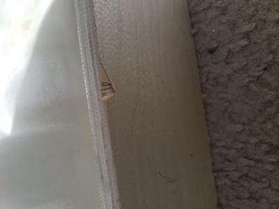 Guest review image 2 of 3, zoom in