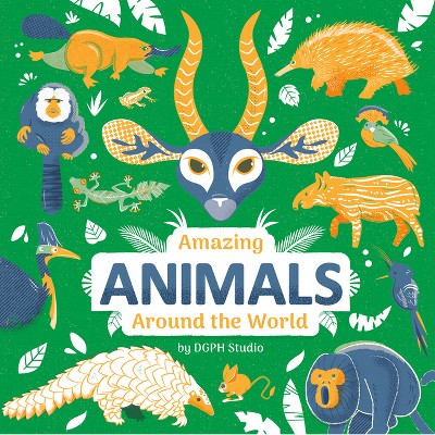 Amazing Animals Around the World - by  Dgph Stufio (Hardcover)