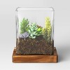 Glass Terrarium with Wood Base Rectangular Natural Wood - Threshold™ - 3 of 4