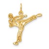 Black Bow Jewelry 14k Yellow Gold Male Karate Pendant - 3 of 4