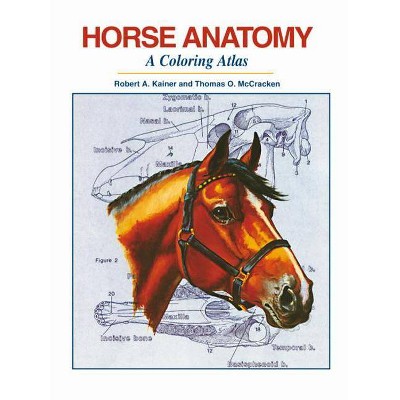Horse Anatomy - by  Robert A Kainer & Thomas O McCracken (Spiral Bound)
