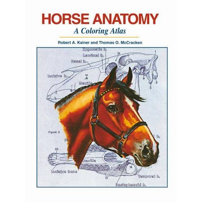 Horse Anatomy - by  Robert A Kainer & Thomas O McCracken (Spiral Bound)