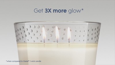 White Cashmere Woods Scented 3-Wick Jar Candle