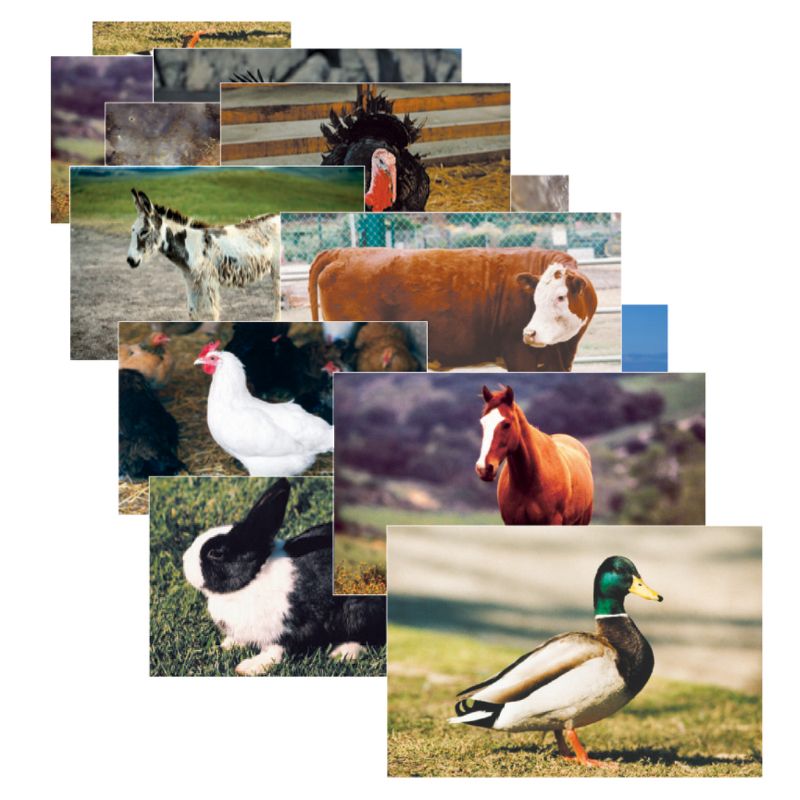 Stages Learning Materials Farm Animal Real Life Learning Poster Set, Set of 10, 1 of 4