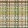 Park Designs Winter Morning Plaid Placemat Set Of 4 - 3 of 4