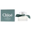 Chloe Rose Naturelle Intense by Chloe for Women - 1 oz EDP Spray - 4 of 4